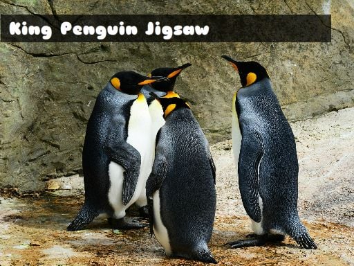 King Penguin Jigsaw